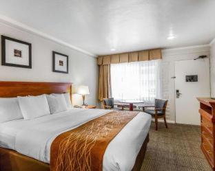 The Inn at 1252 Monterey - 4