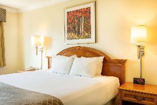 Days Inn by Wyndham Santa Monica - Los Angeles - 6