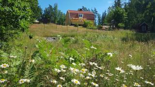 Solhem - Älmeboda - 9