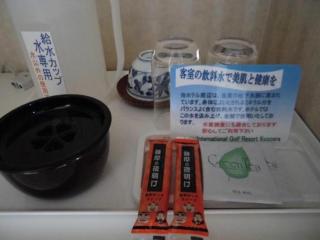 Satsuma Resort Hotel - Satsuma - 4