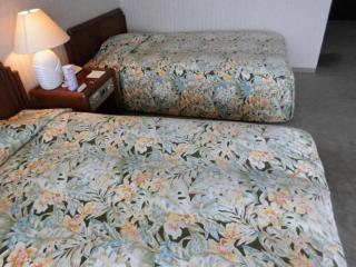 Satsuma Resort Hotel - Satsuma - 3