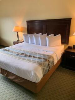 Ambassador Inn & Suites Tuscaloosa University I-20 - 4