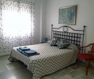 Luminoso y amplio apartamento en el centro histórico de Sevilla - Sevilla - 1