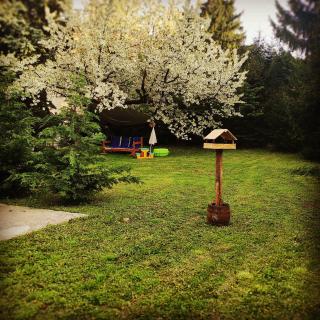 Rákóczi Guesthouse Miskolc - 2