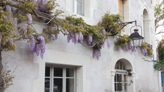 Le Moulin Hodoux - Luynes - 3