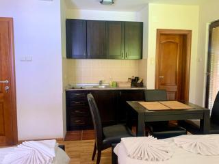 Vila Darija Zlatar - studio apartman br 1 - Nova Varoš - 5
