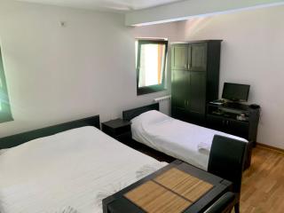 Vila Darija Zlatar - studio apartman br 1 - Nova Varoš - 9