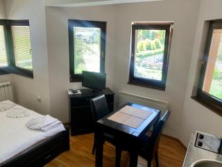 Vila Darija Zlatar - studio apartman br. 2 - Nova Varoš - 8
