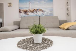 Ilia sea view apartment - Novalja - 3