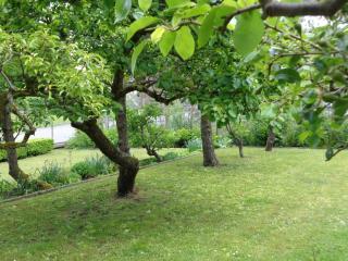 Chez Marraine - 6