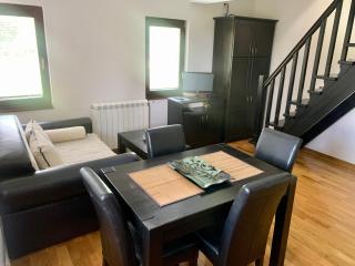 Vila Darija Zlatar - studio apartman br. 3 - Nova Varoš - 9