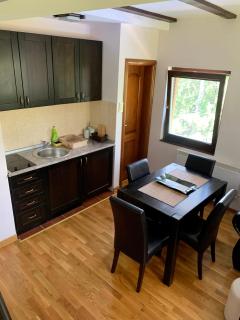 Vila Darija Zlatar - studio apartman br. 3 - Nova Varoš - 6