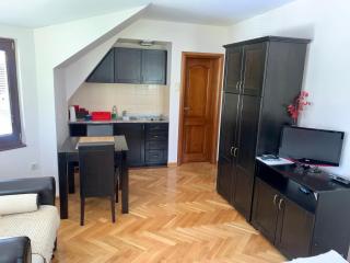 Vila Darija Zlatar - studio apartman br. 4 - Nova Varoš - 4