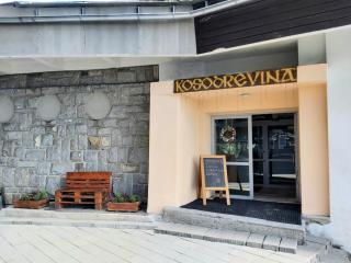 Chata Kosodrevina - Turistická ubytovňa - 8
