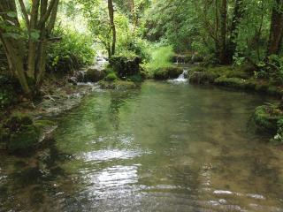 Moulin Bas, Prés de la Rivière - Carnac-Rouffiac - 1