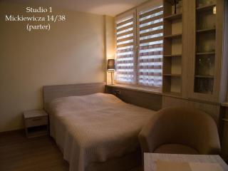Studio Park Saski 1 & 2 - Sandomierz - 8