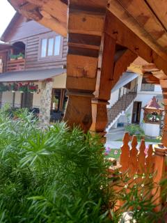 Pensiunea Casa Ancuta - Vadu Izei - 3