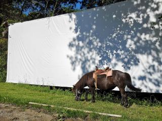 Domaine de Cavailla - 1