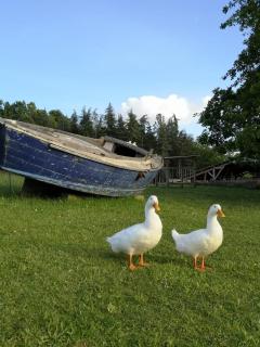 Domaine de Cavailla - 3