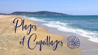 Plages et coquillages vue mer trés proche des plages climatisation - 9