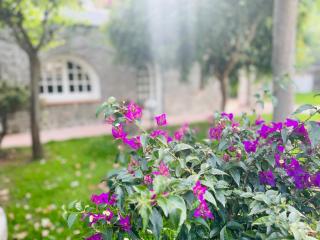 Villa Cycas - 6