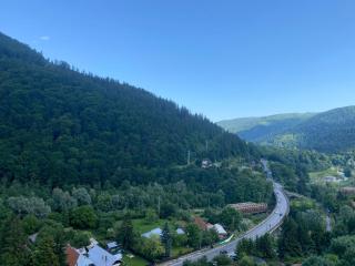 Heidy Sinaia - Sinaia - 5