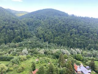 Heidy Sinaia - Sinaia - 6