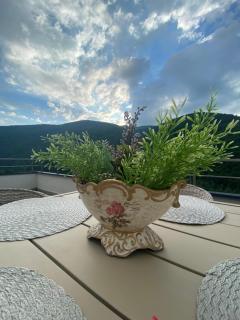 Heidy Sinaia - Sinaia - 8