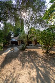 Villa Olive apartments - Ipsos - 0