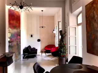 Appartement à la Roquette, dans l'Hotel de Divonne, classé. - Arles - 0