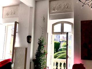 Appartement à la Roquette, dans l'Hotel de Divonne, classé. - Arles - 7