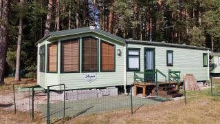 Romantic HOLIDAY HOME in the pine forest - 7