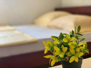 Elit Apartmani - Ulcinj - 7