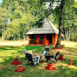 Zlatiborske brvnare - Zlatibor - 3
