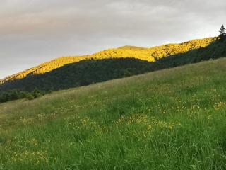 KLEMENTÓWKA - Cisna - 7