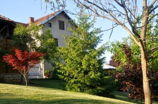 Guesthouse Djurić - Negotin - 8