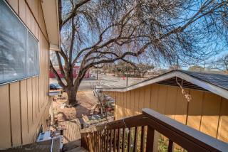 Binky's Nest - Fredericksburg - 9