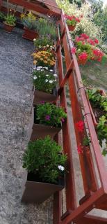 Apartmani Ilić - Golubac - 5