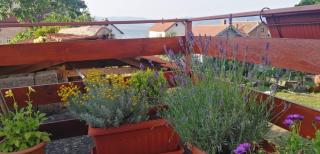 Apartmani Ilić - Golubac - 3