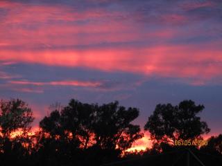 The Bungalow at Nunyara - 8