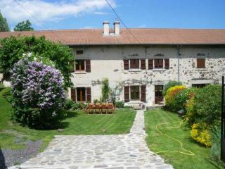 Ferme restaurée avec jardin clos et terrasse, proche Puy en Velay - FR-1-582-271 - Le Monastier sur Gazeille - 9