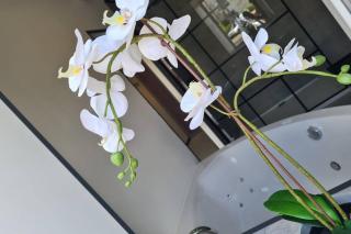 "Philled With Love" by Phils Cottages - 5