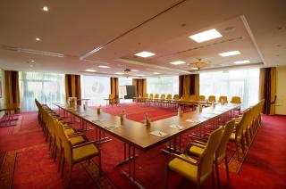 Parkhotel - Bad Schallerbach - 2