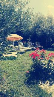 Le Jardin Serein - Salindres - 1