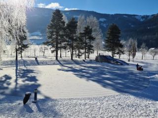 Chalets am Badesee Lassing - Lassing - 7