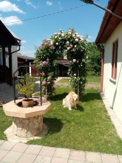 Tar Lak vendégház - Hajdúszoboszló - 3