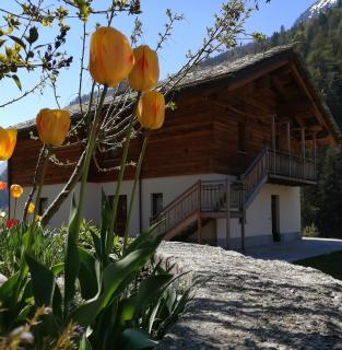 B&B Lorelei - Gressoney-Saint-Jean - 0