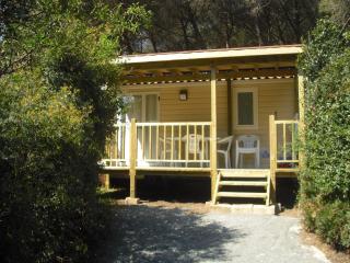 Camping Casa Di Caccia - Marina di Bibbona - 9