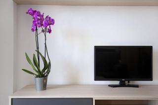 Apartamento Betty B - Puerto del Rosario - 8