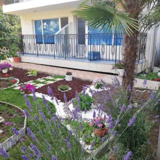 Albatros 2 Family Hotel - Kiten - 9